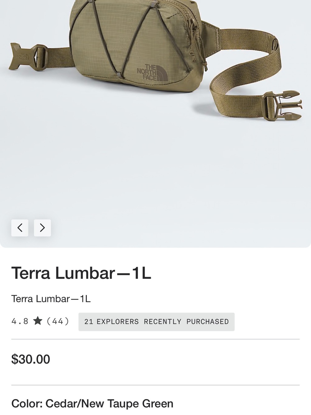 The North Face 2026 NWT Terra Lumbar Olive Cedar Belt Pack - Picture 6 of 7